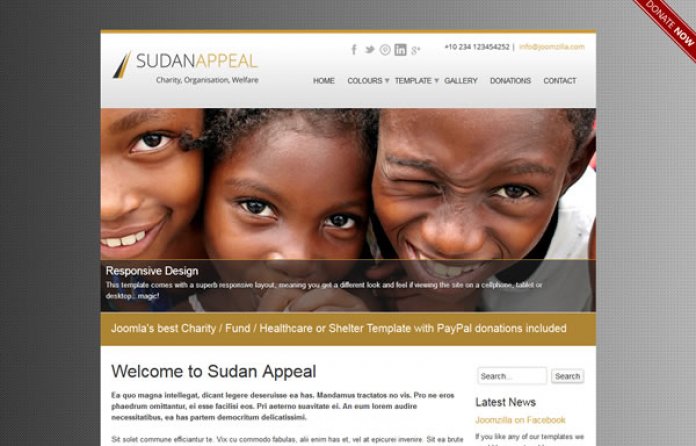 Sudan Appeal