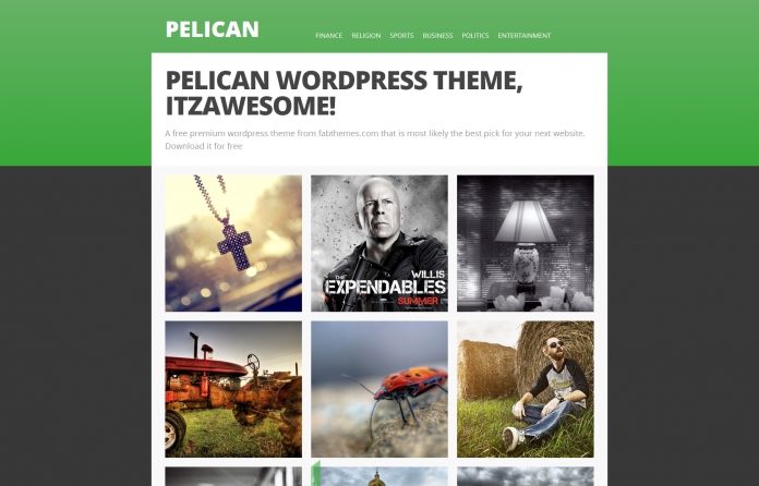 Pelican 