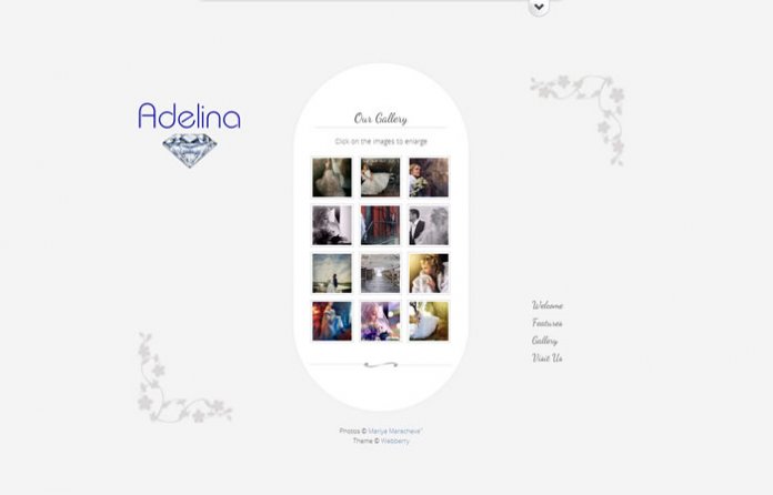 Adelina - Responsive Unique Theme