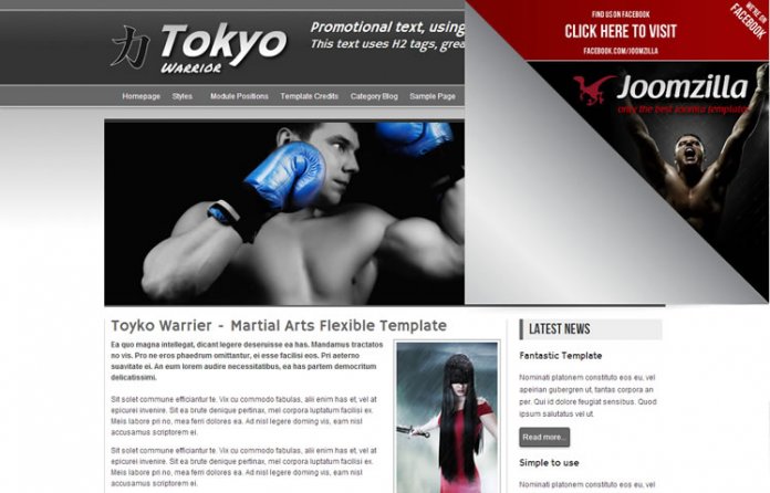 Toyko Warrier - Martial Arts