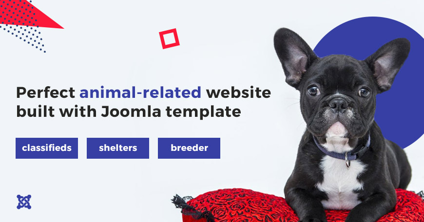 animals joomla template-1